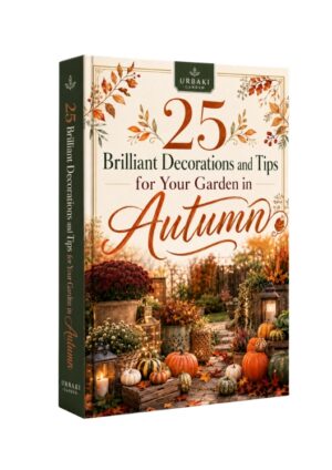 25 Brilliant Decorations and Tips for Your Garden in Autumn